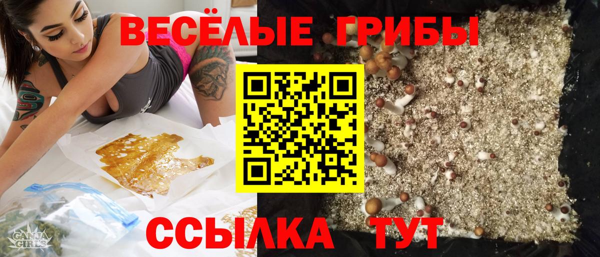 Галлюциногенные грибы GOLDEN TEACHER Городец