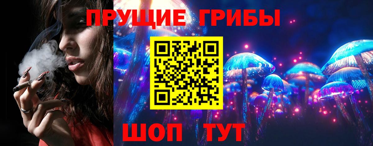 Псилоцибиновые грибы мицелий  Вход с VPN  Городец  Псилоцибиновые грибы GOLDEN TEACHER 